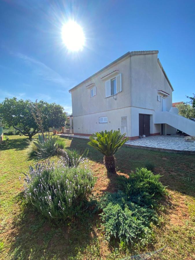 Apartament Beautiful Island House Ugljan Zewnętrze zdjęcie