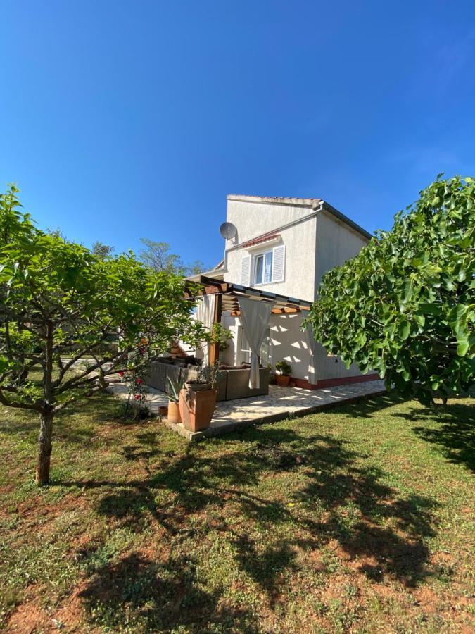 Apartament Beautiful Island House Ugljan Zewnętrze zdjęcie